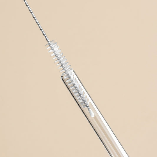 Glass Straw Set of 4