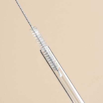 Glass Straw Set of 4